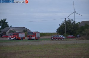 DSC 0019